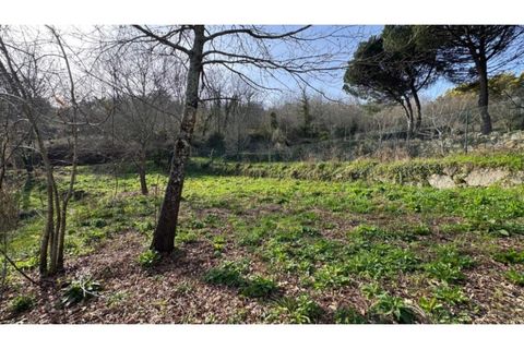 Helårsgrund i Penafiel, Porto, Penafiel - € 67.500 | Ref: MC09902 - foto 22
