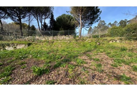 Helårsgrund i Penafiel, Porto, Penafiel - € 67.500 | Ref: MC09902 - foto 23