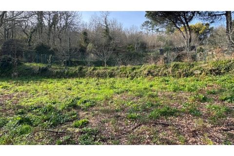 Helårsgrund i Penafiel, Porto, Penafiel - € 67.500 | Ref: MC09902 - foto 25