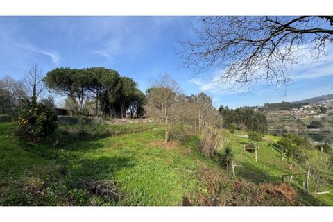 Helårsgrund i Penafiel, Porto, Penafiel - € 67.500 | Ref: MC09902 - foto 29