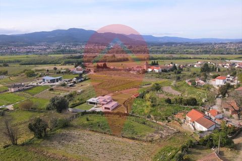 Terreno en Ganfei, Viana do Castelo, Ganfei - € 36.000 | Ref: TER_57 - photo 5