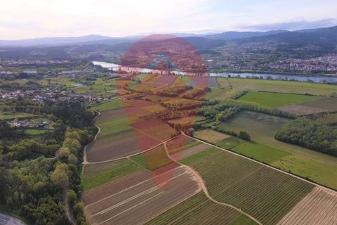 Terreno en Ganfei, Viana do Castelo, Ganfei - € 36.000 | Ref: TER_57 - photo 7