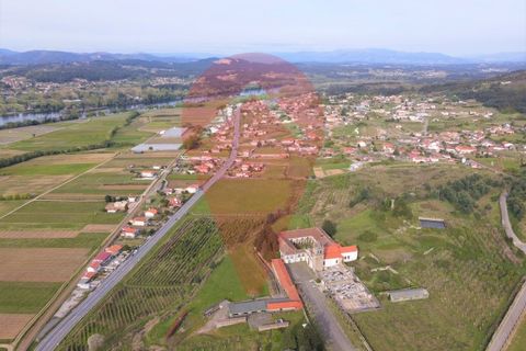 Terreno en Ganfei, Viana do Castelo, Ganfei - € 36.000 | Ref: TER_57 - photo 8