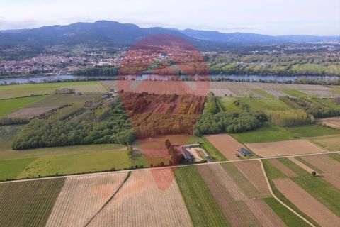 Terreno en Ganfei, Viana do Castelo, Ganfei - € 36.000 | Ref: TER_57 - photo 10