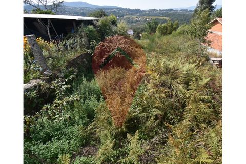 Helårsgrund i Fontoura, Viana do Castelo, Fontoura - € 30.000 | Ref: TER_290 - foto 5
