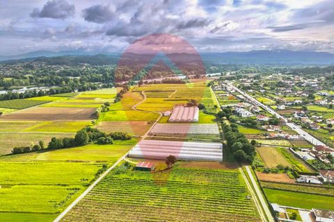 Helårsgrund i Ganfei, Viana do Castelo, Ganfei - € 55.000 | Ref: TER_159 - foto 7
