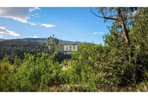 Terra em Outeiro, Viana do Castelo, Outeiro - € 88.000 | Ref: VCC14655 - foto 4