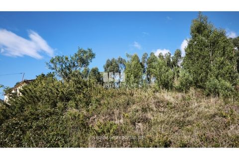 Terra em Outeiro, Viana do Castelo, Outeiro - € 88.000 | Ref: VCC14655 - foto 7