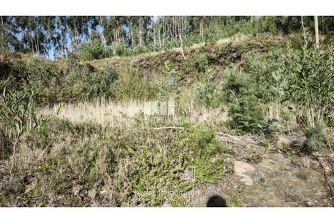 Terra em Outeiro, Viana do Castelo, Outeiro - € 88.000 | Ref: VCC14655 - foto 8