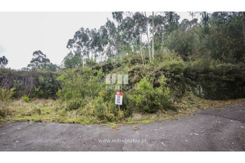 Terra em Outeiro, Viana do Castelo, Outeiro - € 78.000 | Ref: VCC14656 - foto 4
