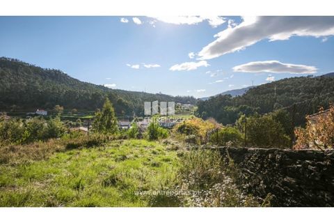 Terra em Outeiro, Viana do Castelo, Outeiro - € 78.000 | Ref: VCC14656 - foto 5