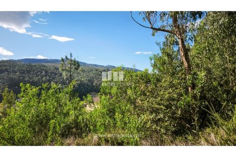 Terra em Outeiro, Viana do Castelo, Outeiro - € 78.000 | Ref: VCC14656 - foto 6