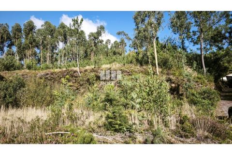 Terra em Outeiro, Viana do Castelo, Outeiro - € 78.000 | Ref: VCC14656 - foto 9