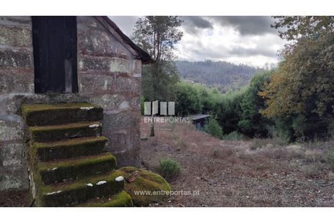 Helårsgrund i Penafiel, Porto, Penafiel - € 65.000 | Ref: MC09858 - foto 6
