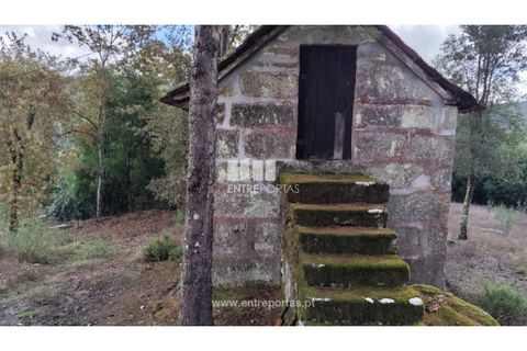 Helårsgrund i Penafiel, Porto, Penafiel - € 65.000 | Ref: MC09858 - foto 7