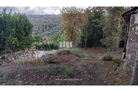 Helårsgrund i Penafiel, Porto, Penafiel - € 65.000 | Ref: MC09858 - foto 8
