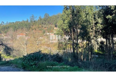 Grond in Areosa, Viana do Castelo, Areosa - € 60.000 | Ref: VCC14195 - foto 1