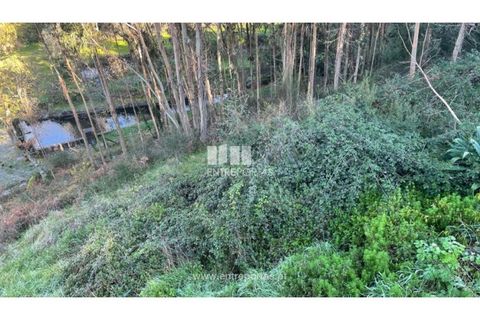 Grond in Areosa, Viana do Castelo, Areosa - € 60.000 | Ref: VCC14195 - foto 4