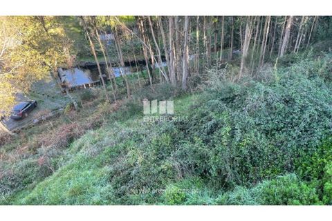 Grond in Areosa, Viana do Castelo, Areosa - € 60.000 | Ref: VCC14195 - foto 5