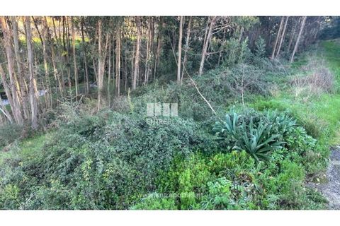 Grond in Areosa, Viana do Castelo, Areosa - € 60.000 | Ref: VCC14195 - foto 6