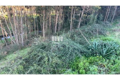 Grond in Areosa, Viana do Castelo, Areosa - € 60.000 | Ref: VCC14195 - foto 10