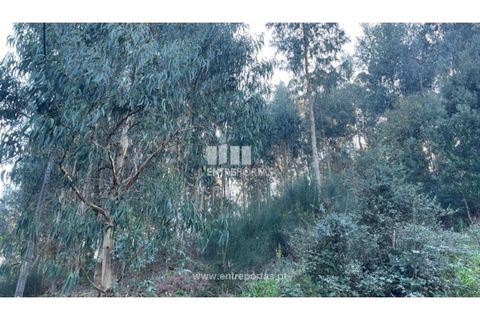 Grond in Areosa, Viana do Castelo, Areosa - € 60.000 | Ref: VCC14195 - foto 12