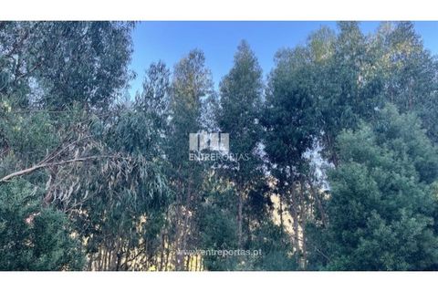 Grond in Areosa, Viana do Castelo, Areosa - € 60.000 | Ref: VCC14195 - foto 14