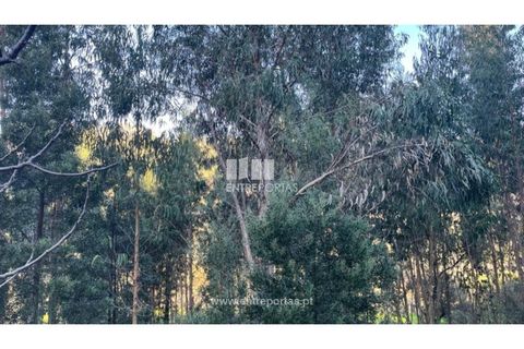 Grond in Areosa, Viana do Castelo, Areosa - € 60.000 | Ref: VCC14195 - foto 15