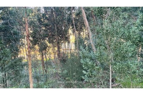 Grond in Areosa, Viana do Castelo, Areosa - € 60.000 | Ref: VCC14195 - foto 16