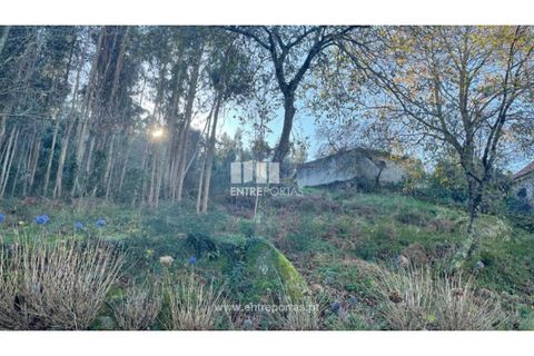 Grond in Areosa, Viana do Castelo, Areosa - € 60.000 | Ref: VCC14195 - foto 21