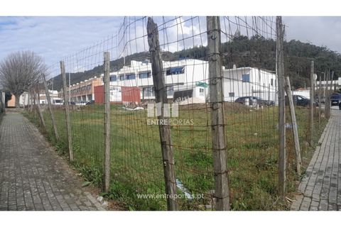 Helårsgrund i Viana do Castelo, Viana do Castelo, Viana do Castelo - € 350.000 | Ref: VCC14498 - foto 11