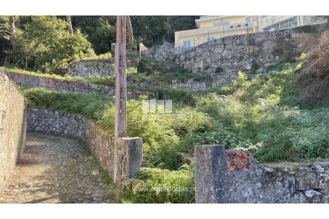 Helårsgrund i Caminha, Viana do Castelo, Caminha - € 110.000 | Ref: C02407 - foto 4