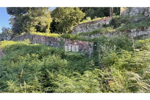 Helårsgrund i Caminha, Viana do Castelo, Caminha - € 110.000 | Ref: C02407 - foto 12