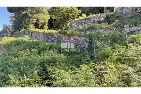 Helårsgrund i Caminha, Viana do Castelo, Caminha - € 110.000 | Ref: C02407 - foto 13