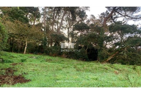 Helårsgrund i Caminha, Viana do Castelo, Caminha - € 180.000 | Ref: C02859(1) - foto 1