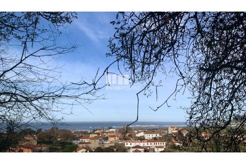 Helårsgrund i Caminha, Viana do Castelo, Caminha - € 180.000 | Ref: C02859(1) - foto 2