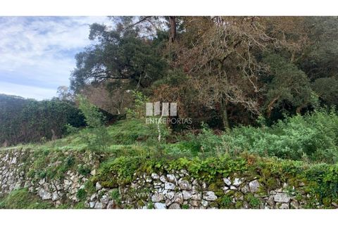 Helårsgrund i Caminha, Viana do Castelo, Caminha - € 180.000 | Ref: C02859(1) - foto 3