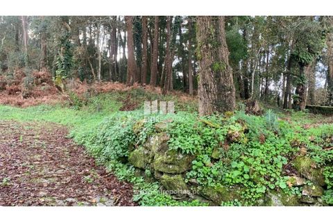 Helårsgrund i Caminha, Viana do Castelo, Caminha - € 180.000 | Ref: C02859(1) - foto 4