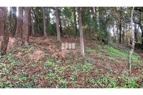 Helårsgrund i Caminha, Viana do Castelo, Caminha - € 180.000 | Ref: C02859(1) - foto 5