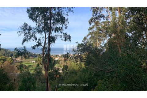 Helårsgrund i Caminha, Viana do Castelo, Caminha - € 180.000 | Ref: C02859(1) - foto 8