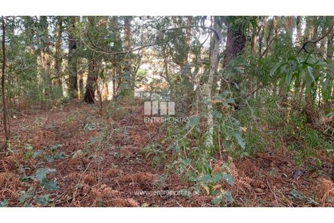 Helårsgrund i Caminha, Viana do Castelo, Caminha - € 180.000 | Ref: C02859(1) - foto 9