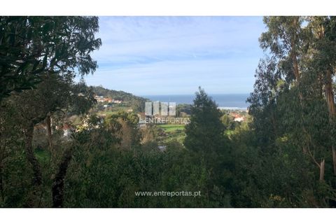 Helårsgrund i Caminha, Viana do Castelo, Caminha - € 180.000 | Ref: C02859(1) - foto 10