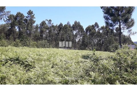 Helårsgrund i Fragoso, Braga, Fragoso - € 150.000 | Ref: VCC13260 - foto 7