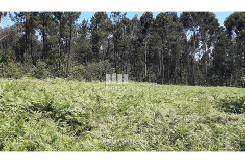 Helårsgrund i Fragoso, Braga, Fragoso - € 150.000 | Ref: VCC13260 - foto 11