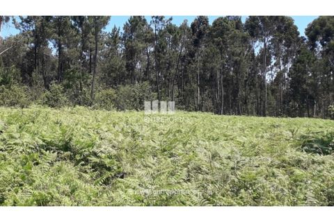 Helårsgrund i Fragoso, Braga, Fragoso - € 150.000 | Ref: VCC13260 - foto 18