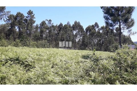 Helårsgrund i Fragoso, Braga, Fragoso - € 150.000 | Ref: VCC13260 - foto 21
