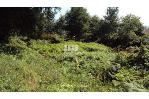 Grond in Airaes, Porto, Airaes - € 95.000 | Ref: MC05483 - foto 10