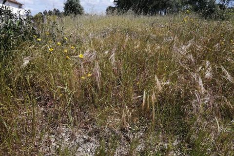 Helårsgrund i Pombal, Leiria, Pombal - € 150.000 | Ref: TER_943 - foto 3