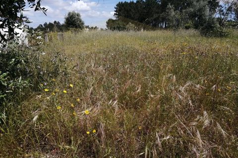 Helårsgrund i Pombal, Leiria, Pombal - € 150.000 | Ref: TER_943 - foto 4