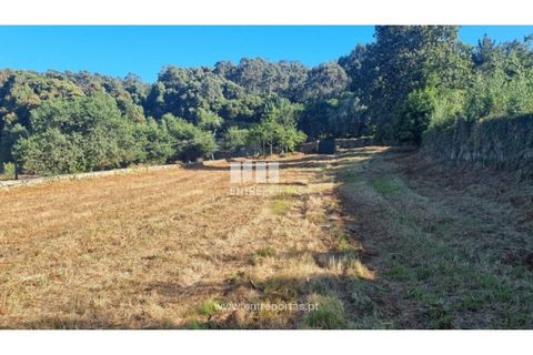 Villa i Caminha, Viana do Castelo, Caminha - € 499.000 | Ref: C02918 - foto 11